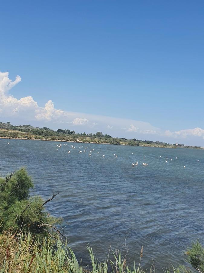 Vacances En Camargue لو غراو دو روا المظهر الخارجي الصورة